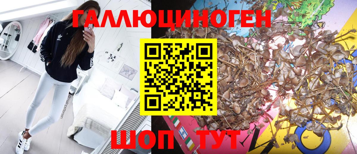 Галлюциногенные грибы мухоморы  Галлюциногенные грибы Psilocybine cubensis  Вход с VPN  Усинск 