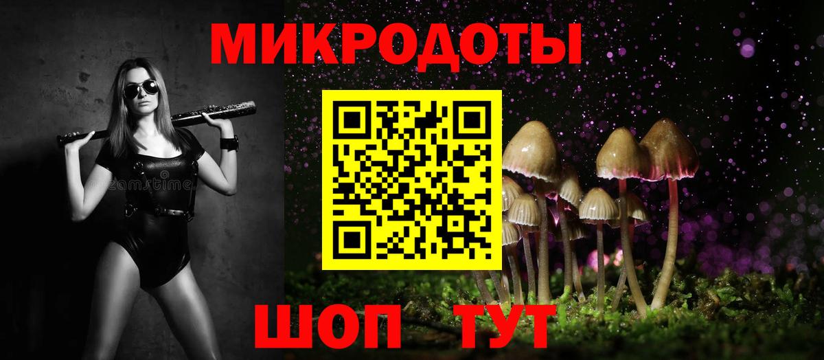 Галлюциногенные грибы Psilocybe Усинск
